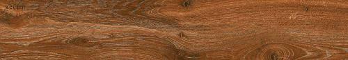 KAJARIA CERAMIC AMAZON WALNUT 1200X200mm